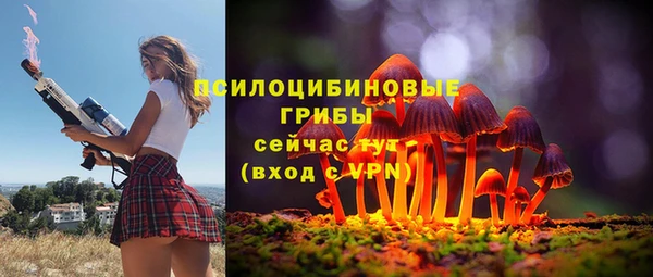 мет Осташков