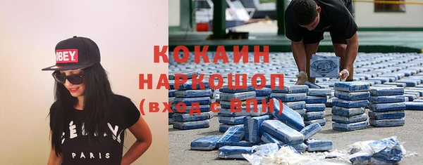 молекула духа Осинники