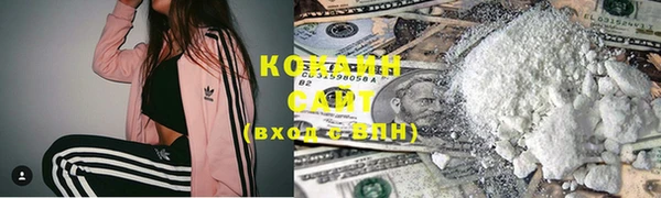 молекула духа Осинники