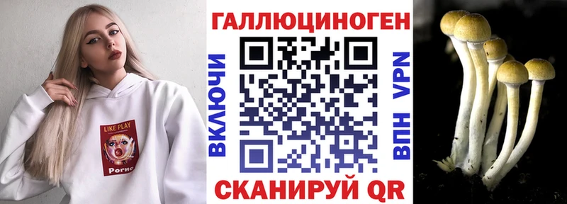 MEGA зеркало  маркетплейс клад  Псилоцибиновые грибы GOLDEN TEACHER  Александровск-Сахалинский 